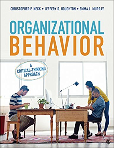 Organizational Behavior: A Critical-Thinking Approach (PDF Instant Download)