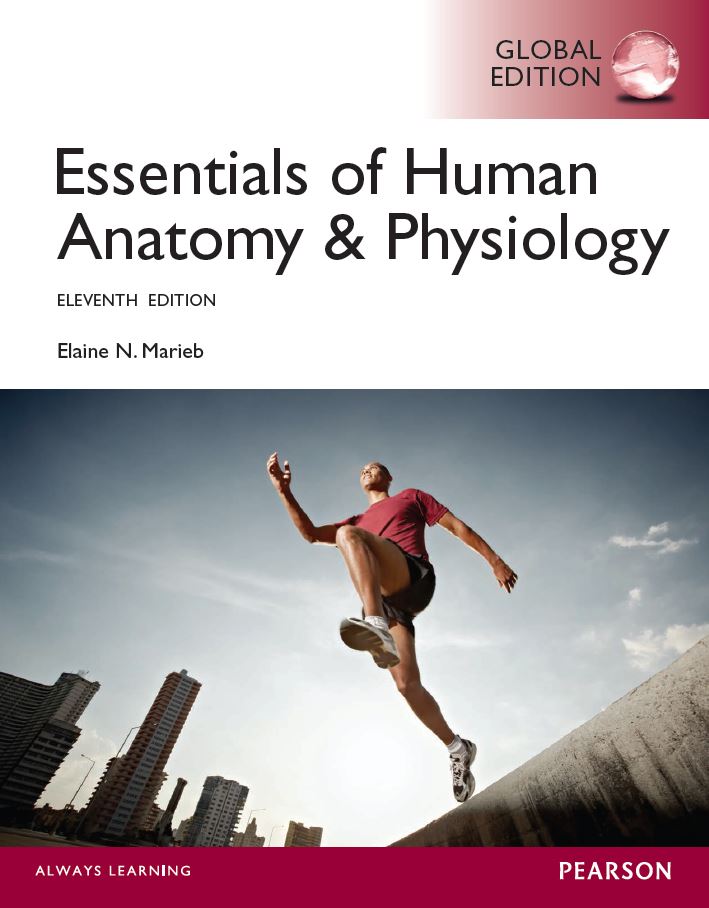 Essentials of Anatomy & Physiology Global Edition 11th 11E Elaine Marieb