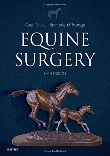 Equine Surgery (PDF Instant Download)