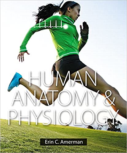 Human Anatomy & Physiology (PDF Instant Download)