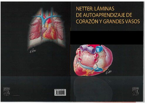 Láminas de autoaprendizaje de corazón y grandes vasos (PDF Instant Download)