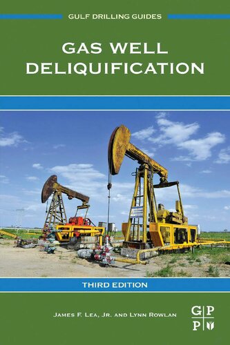 Gas Well Deliquification (PDF Instant Download)