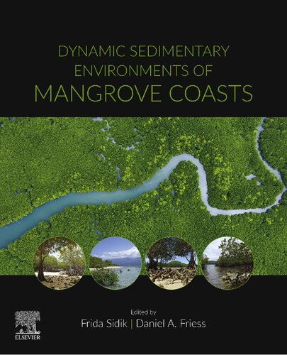 Dynamic Sedimentary Environments of Mangrove Coasts (PDF Instant Download)