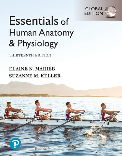 Essentials of Human Anatomy & Physiology [Global Edition] (PDF Instant Download)