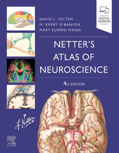 Netter's Atlas of Neuroscience (Netter Basic Science) (PDF Instant Download)