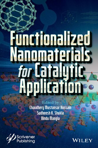 Functionalized Nanomaterials for Catalytic Application (PDF Instant Download)