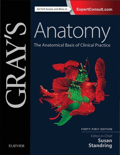 Gray's anatomy : the anatomical basis of clinical practice (PDF Instant Download)