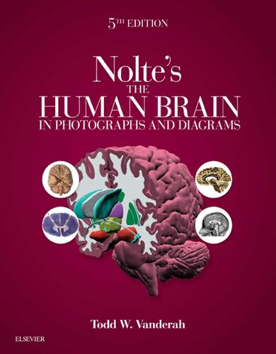 Nolte's The Human Brain in Photographs and Diagrams, 5e: With STUDENT CONSULT Online Access (PDF Instant Download)