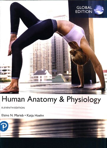 Human Anatomy   Physiology, Global Edition (PDF Instant Download)
