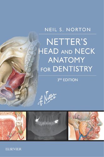 Netter's Head and Neck Anatomy for Dentistry (PDF Instant Download)