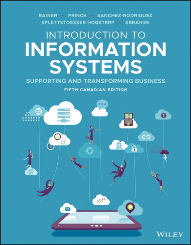 Introduction to Information Systems (PDF Instant Download)
