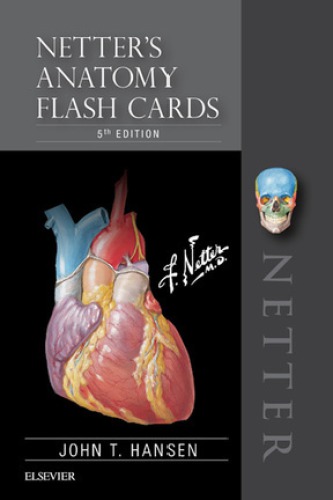 Netter's Anatomy Flash Cards (PDF Instant Download)
