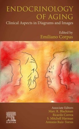 Endocrinology of Aging (PDF Instant Download)