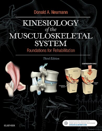 Kinesiology of the Musculoskeletal System 3rd Edition (PDF Instant Download)
