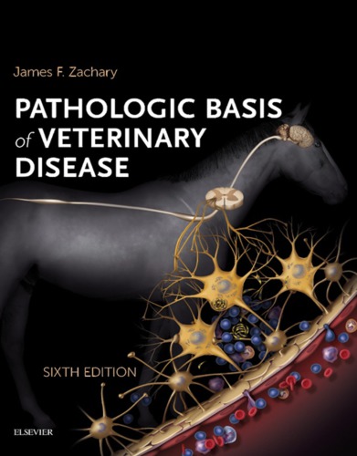 Pathologic basis of veterinary disease (PDF Instant Download)