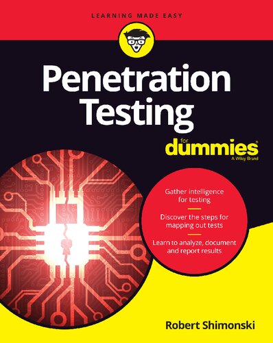 Penetration Testing For Dummies (PDF Instant Download)
