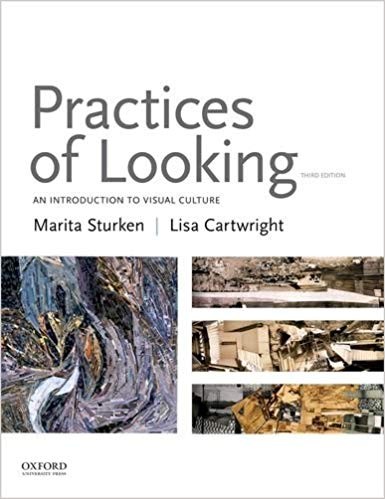 Practices of Looking An Introduction to Visual Culture 3rd Edition (PDF Instant Download)