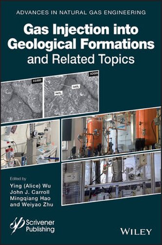 Gas Injection into Geological Formations and Related Topics (PDF Instant Download)
