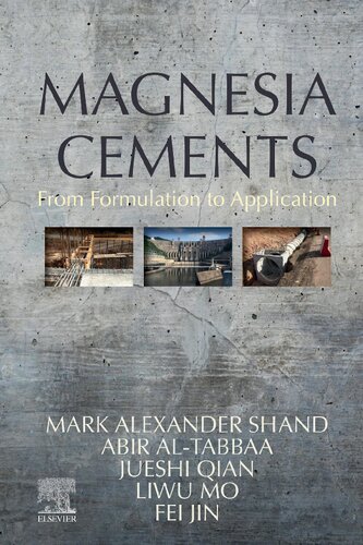 Magnesia Cements: From Formulation to Application (PDF Instant Download)
