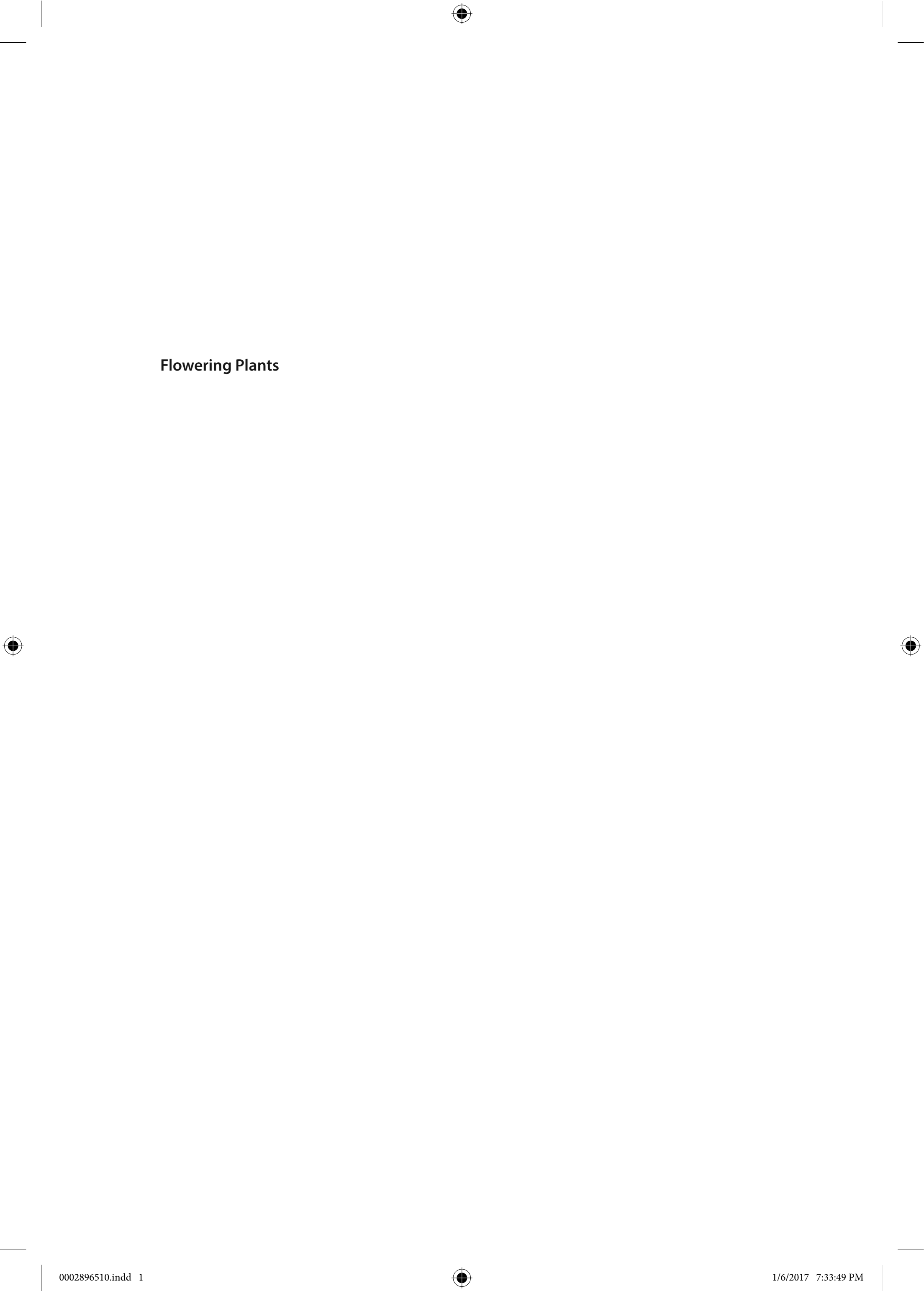 Flowering Plants: Structure and Industrial Products (PDF Instant Download)
