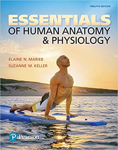 Essentials of Human Anatomy & Physiology 12th Edition by Elaine N. Marieb (PDF Instant Download)