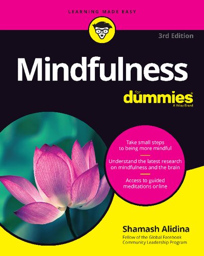 Mindfulness for Dummies (PDF Instant Download)