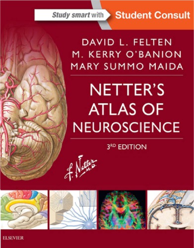 Netter’s Atlas of Neuroscience (PDF Instant Download)