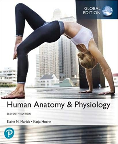 Human Anatomy & Physiology, Global Edition 11th Edition (PDF Instant Download)
