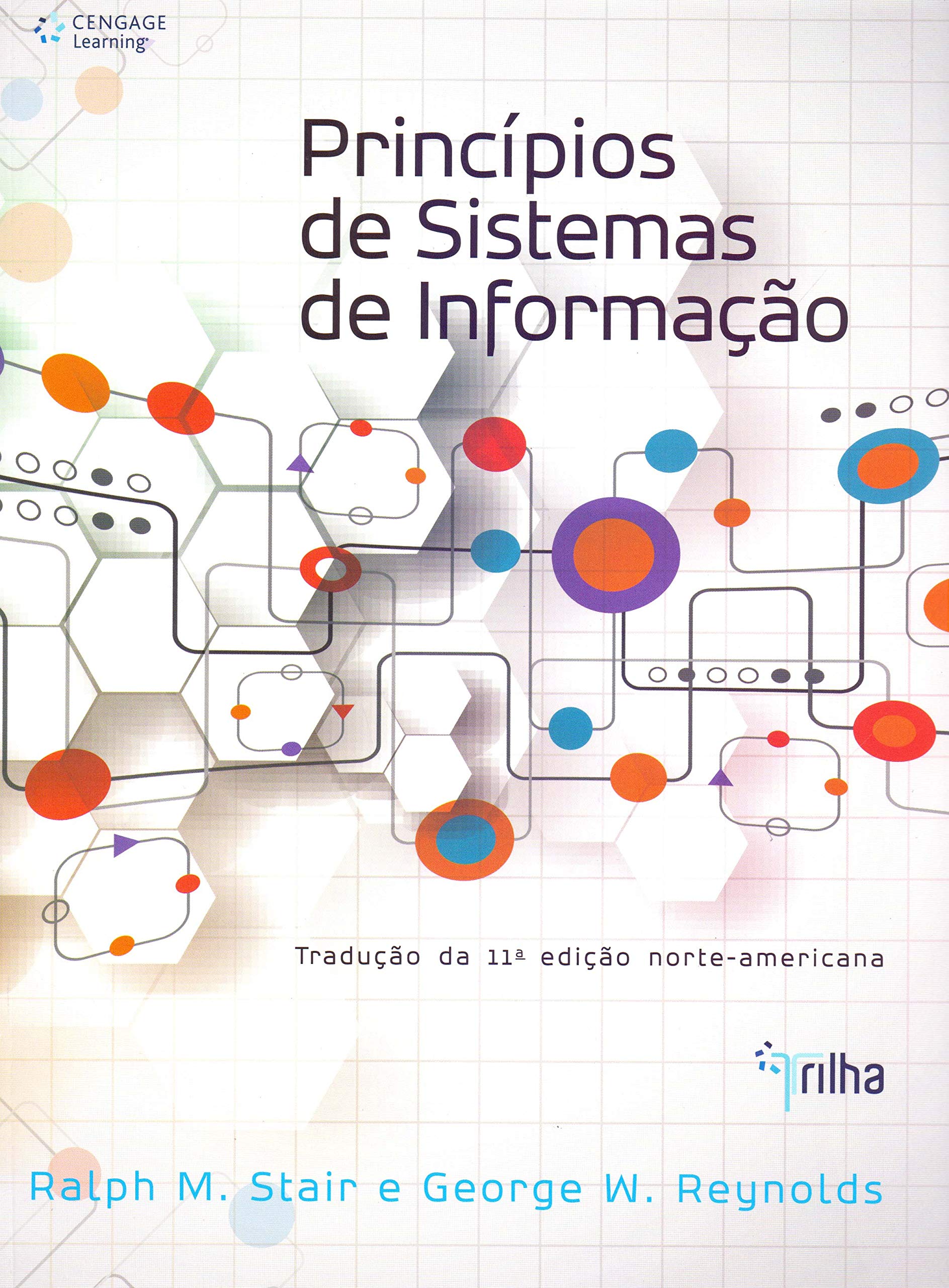 Princípios de sistemas de informação (PDF Instant Download)