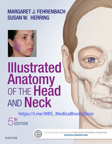 Illustrated Anatomy of the Head and Neck (PDF Instant Download)
