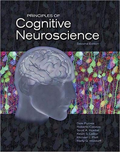 Principles of Cognitive Neuroscience 2nd Edition (PDF Instant Download)