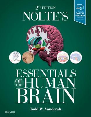 Nolte’s Essentials of the Human Brain (PDF Instant Download)