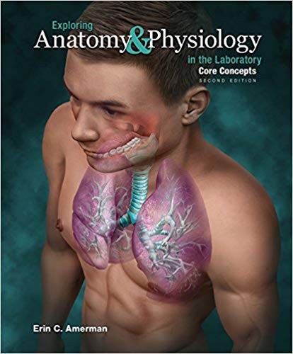 Exploring Anatomy & Physiology in the Laboratory Core Concepts 2nd Edition (PDF Instant Download)