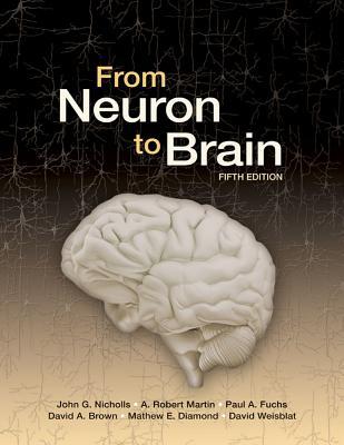 From Neuron To Brain 5th Edition (PDF Instant Download)