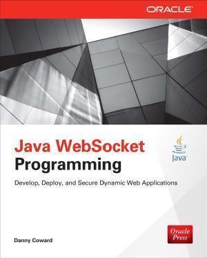 Java Websocket Programming (PDF Instant Download)