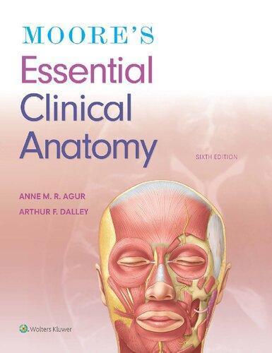 Moores Essential Clinical Anatomy 6Th Edition (PDF Instant Download)