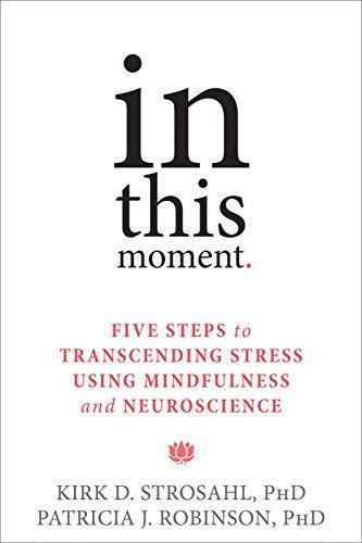 In This Moment Five Steps To Transcending Stress Using Mindfulness And Neuroscience (PDF Instant Download)