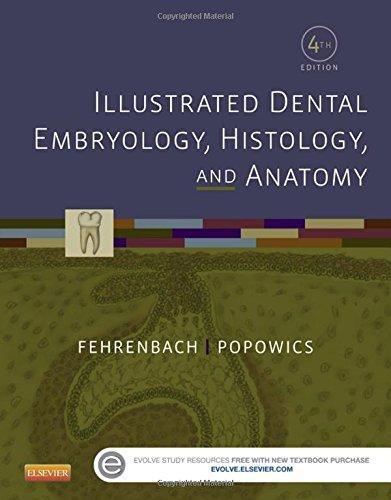 Illustrated Dental Embryology Histology And Anatomy 4Th Edition (PDF Instant Download)