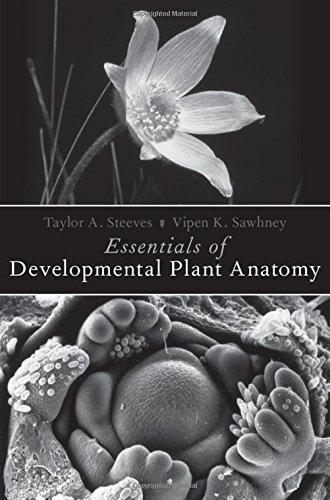 Essentials Of Developmental Plant Anatomy (PDF Instant Download)