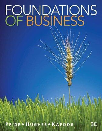 Foundations Of Business 3Rd Edition (PDF Instant Download)