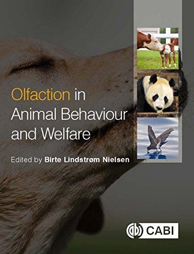 Olfaction In Animal Behaviour And Welfare (PDF Instant Download)
