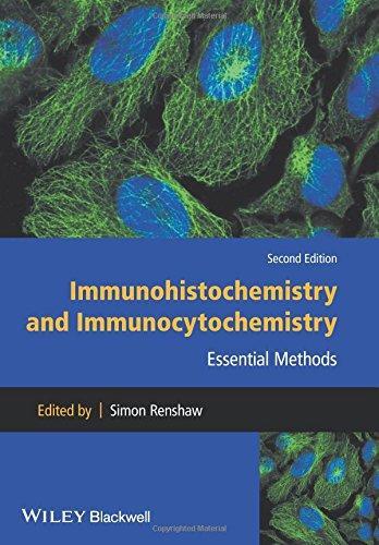 Immunohistochemistry And Immunocytochemistry Essential Methods 2Nd Edition (PDF Instant Download)