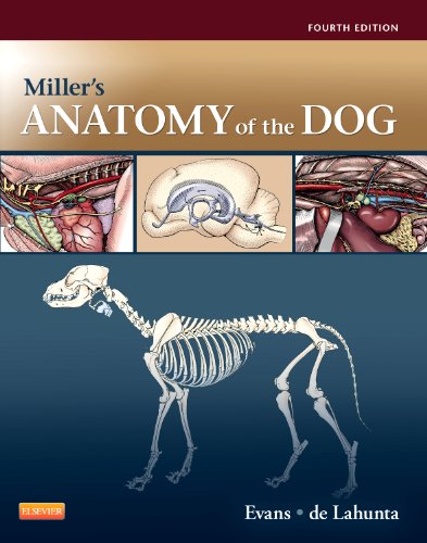 MillerÃ¢â‚¬â„¢s Anatomy of the Dog &; 4th Edition