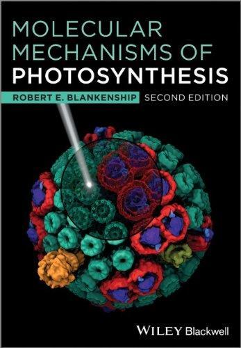 Molecular Mechanisms Of Photosynthesis (PDF Instant Download)