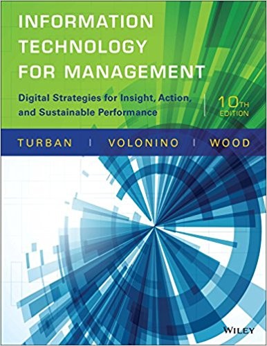 Information Technology for Management Digital 10th (PDF Instant Download)