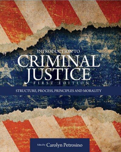 Introduction To Criminal Justice Structure Process Principles And Morality (PDF Instant Download)