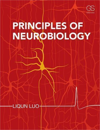 Principles Of Neurobiology (PDF Instant Download)