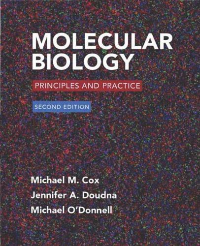 Molecular Biology Principles And Practice 2Nd Edition (PDF Instant Download)