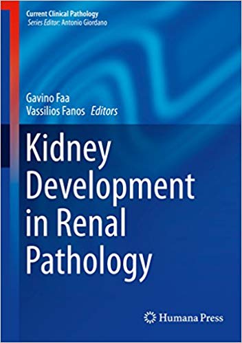 Kidney Development in Renal Pathology (PDF Instant Download)