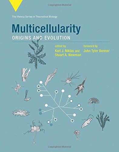Multicellularity Origins And Evolution (PDF Instant Download)